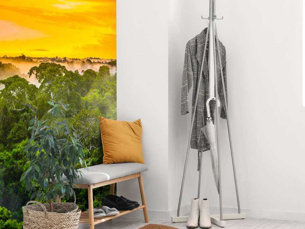 Foresta pluviale in Brasile 