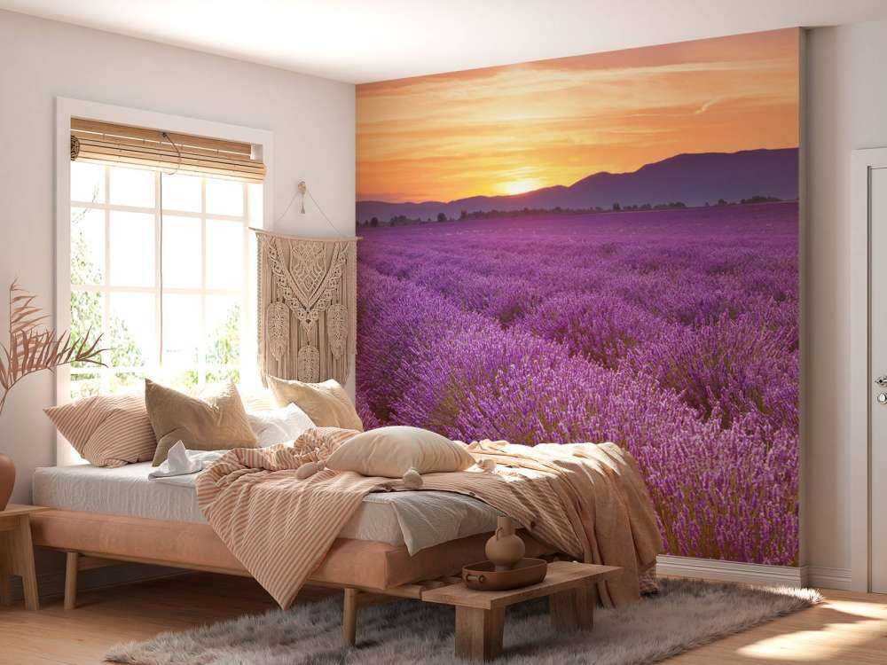 Campo pieno di lavanda