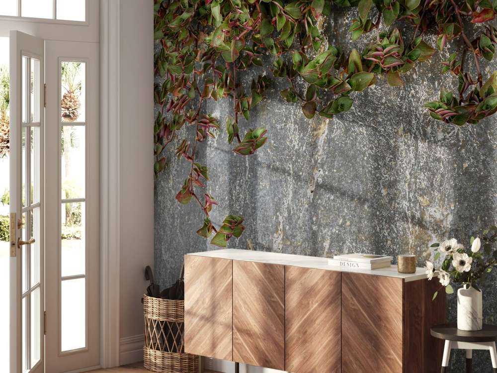 Abbeveratoio per piante 