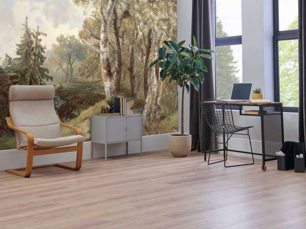 Paesaggio Forestale Colore #1