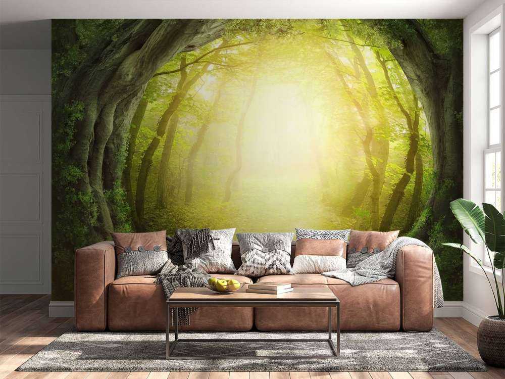 Sentiero di pietra nella foresta