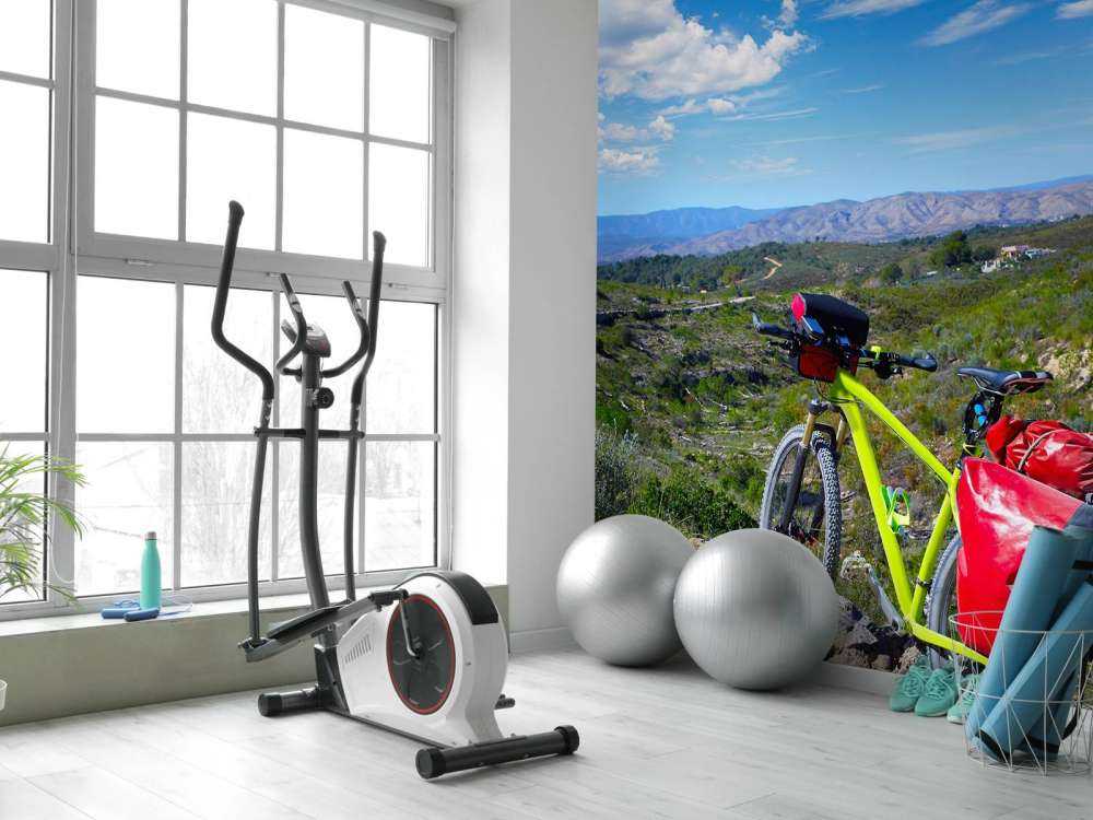 In bicicletta a Valencia