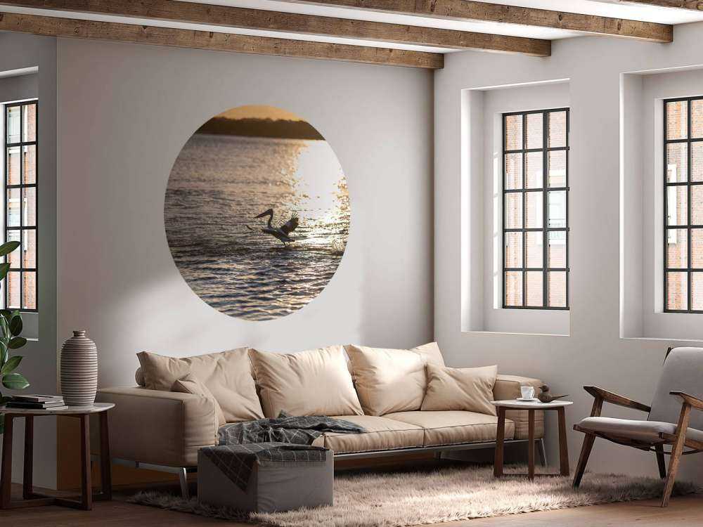 Pellicani al tramonto