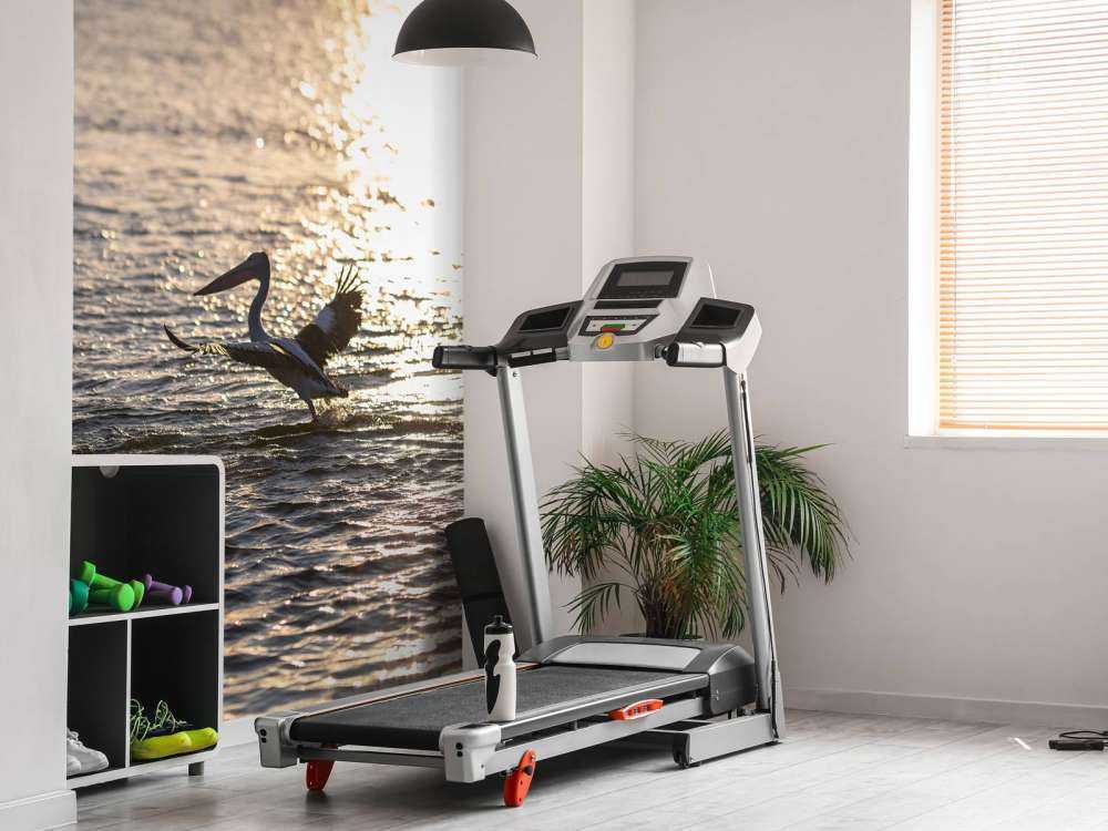 Pellicani al tramonto