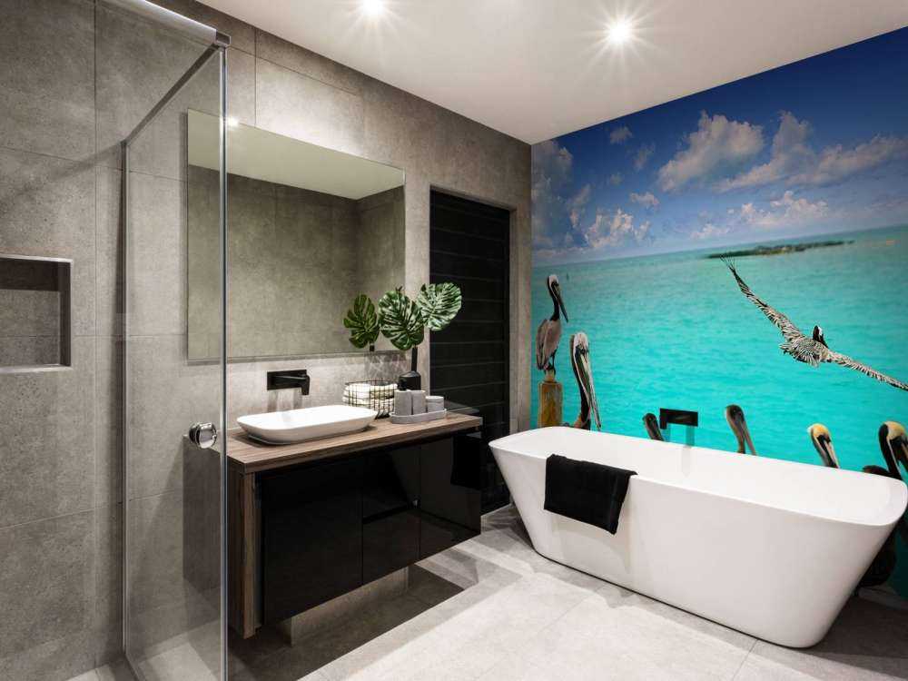 Pellicano dei Caraibi