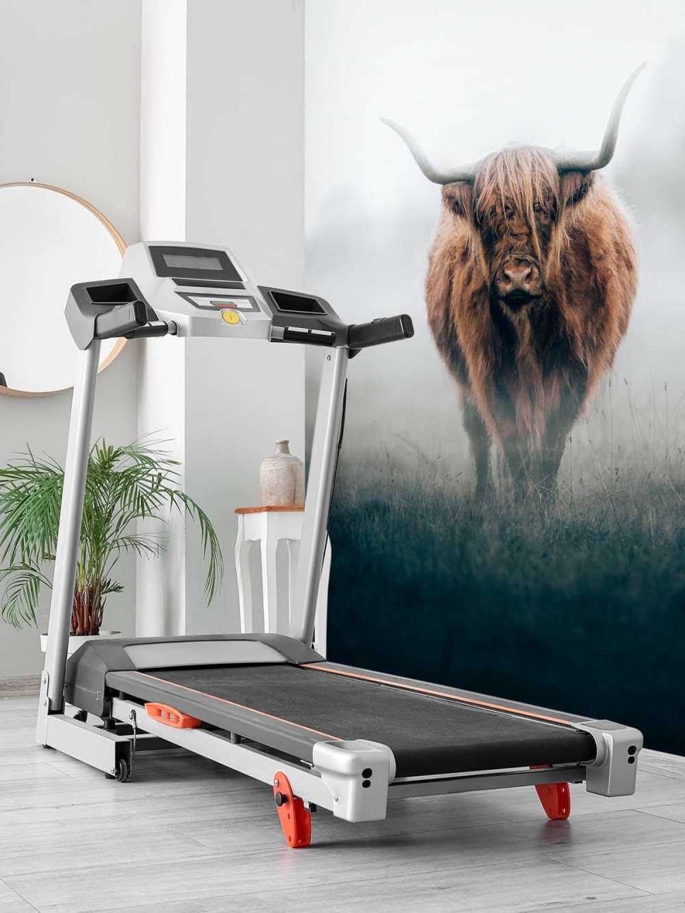 Highlander scozzese in una fitta nebbia