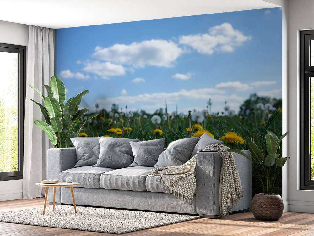 Denti di leone gialli