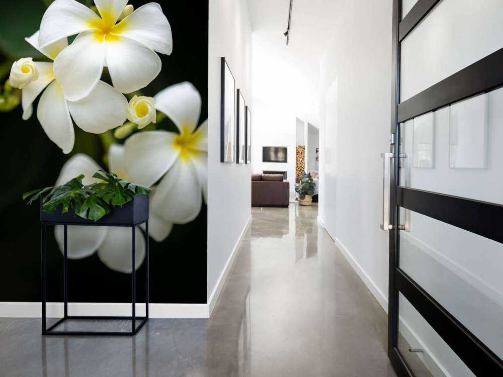 Plumeria primo piano