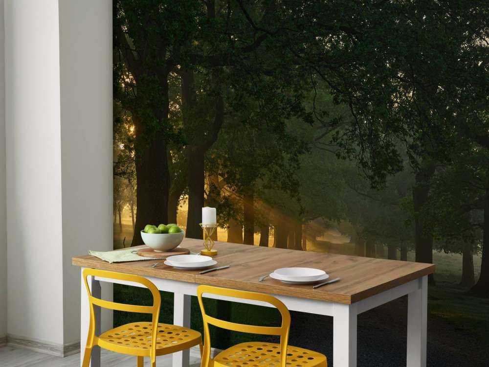 Sentiero senza fine con alberi