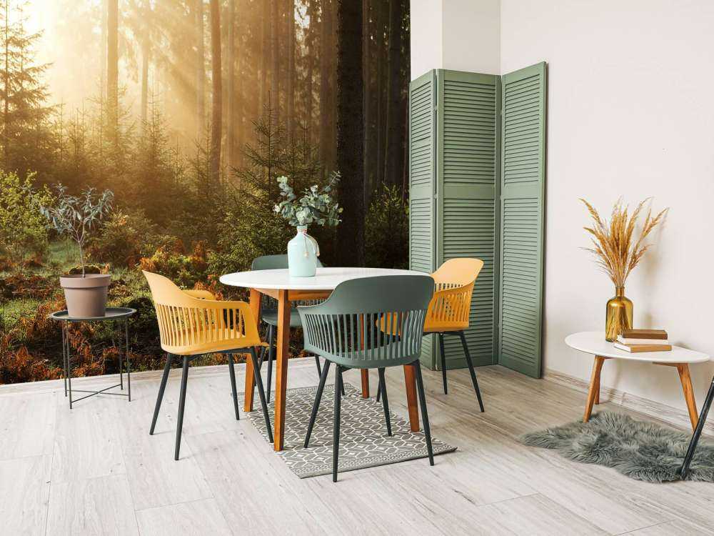 Raggi di sole attraverso la foresta