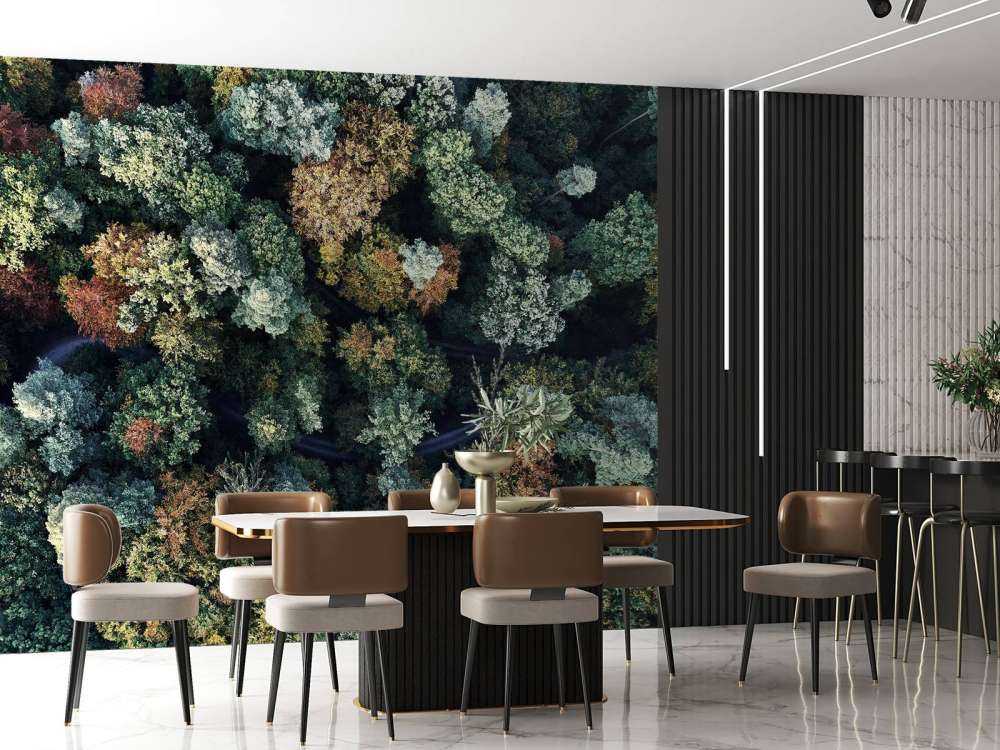 Foresta autunnale dall'alto