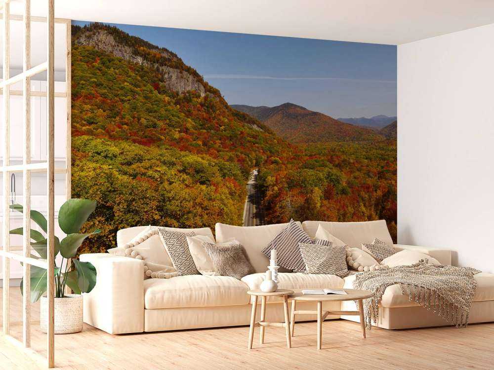 Strada attraverso il paesaggio autunnale