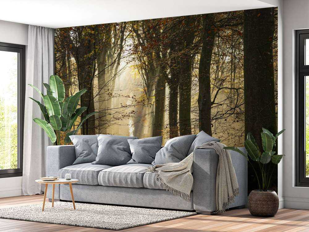 La foresta di Crécy