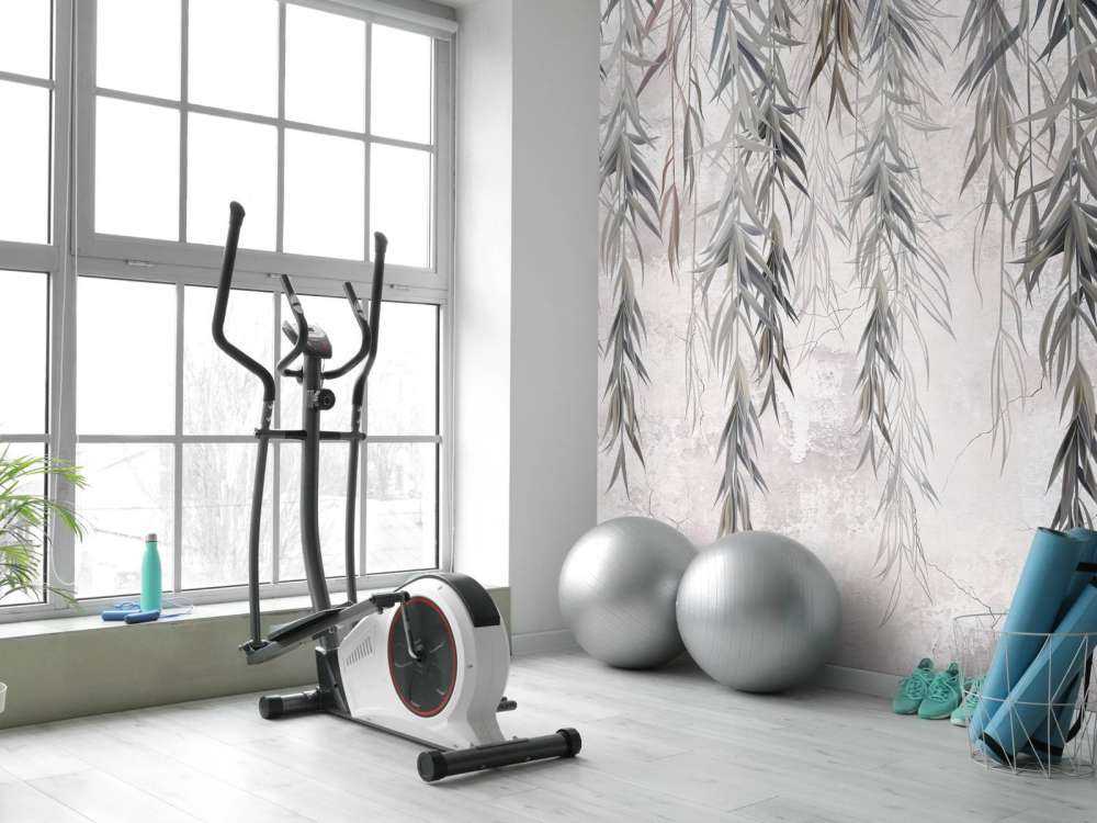 Ramas colgantes sobre el hormigón