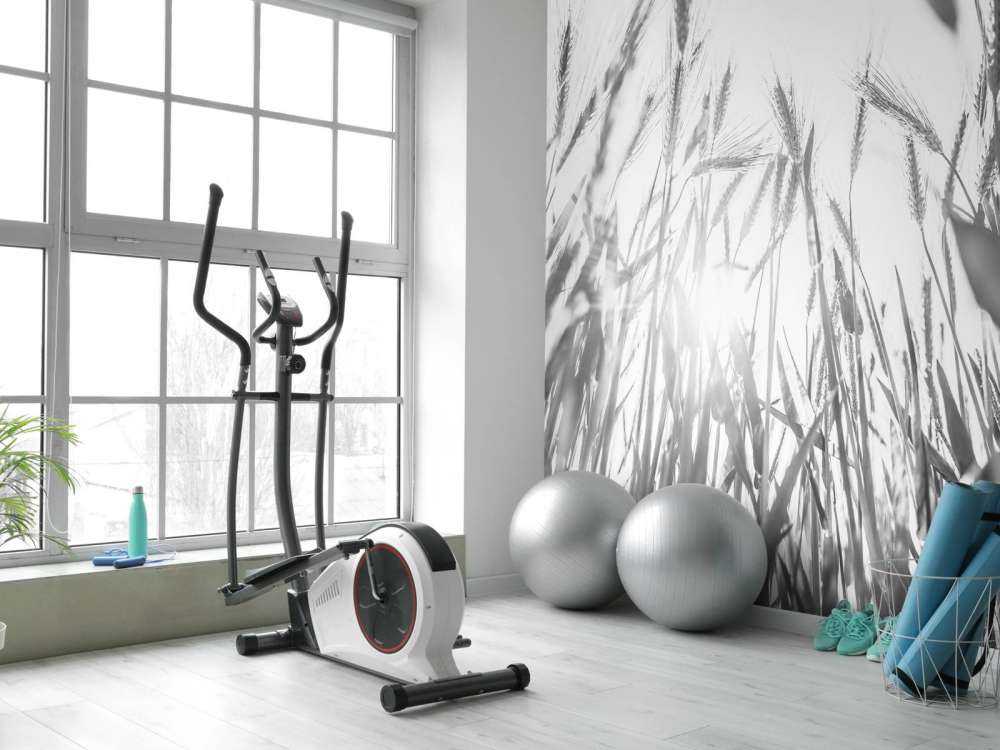 Campo di grano soleggiato