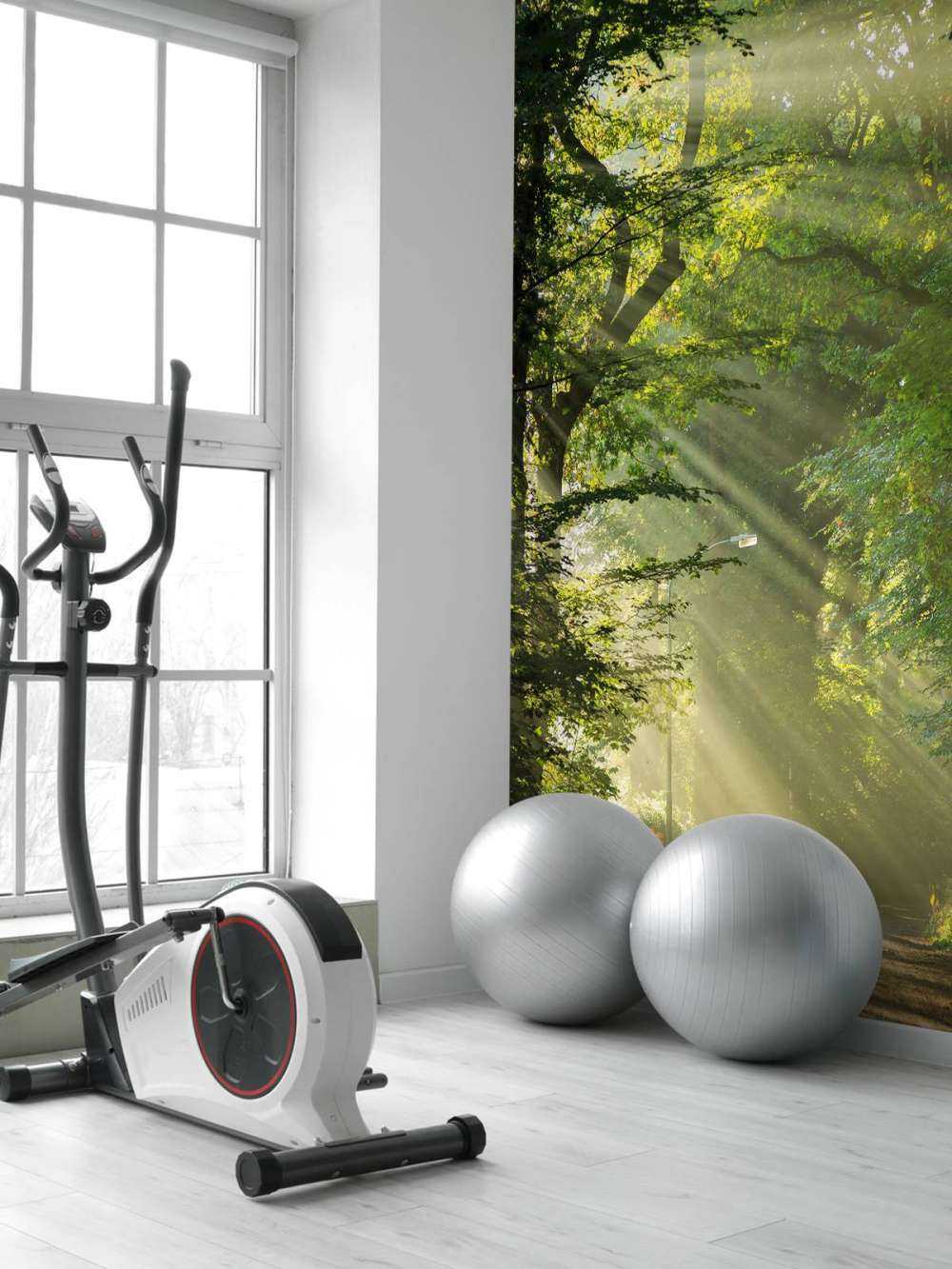 Raggi di sole attraverso gli alberi