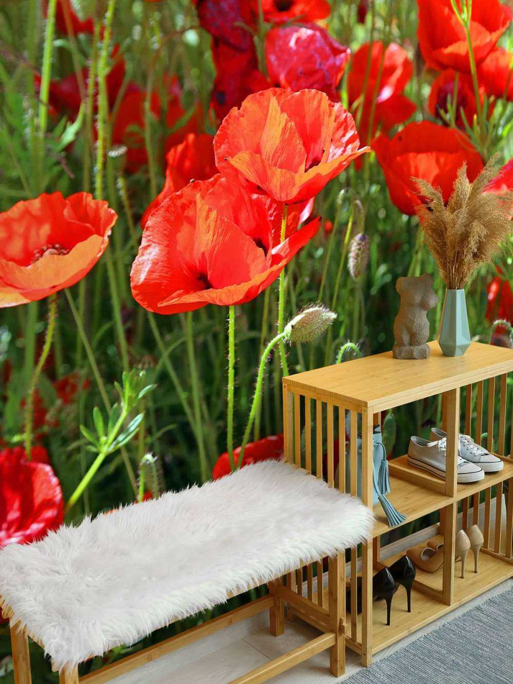 Primo piano di papaveri