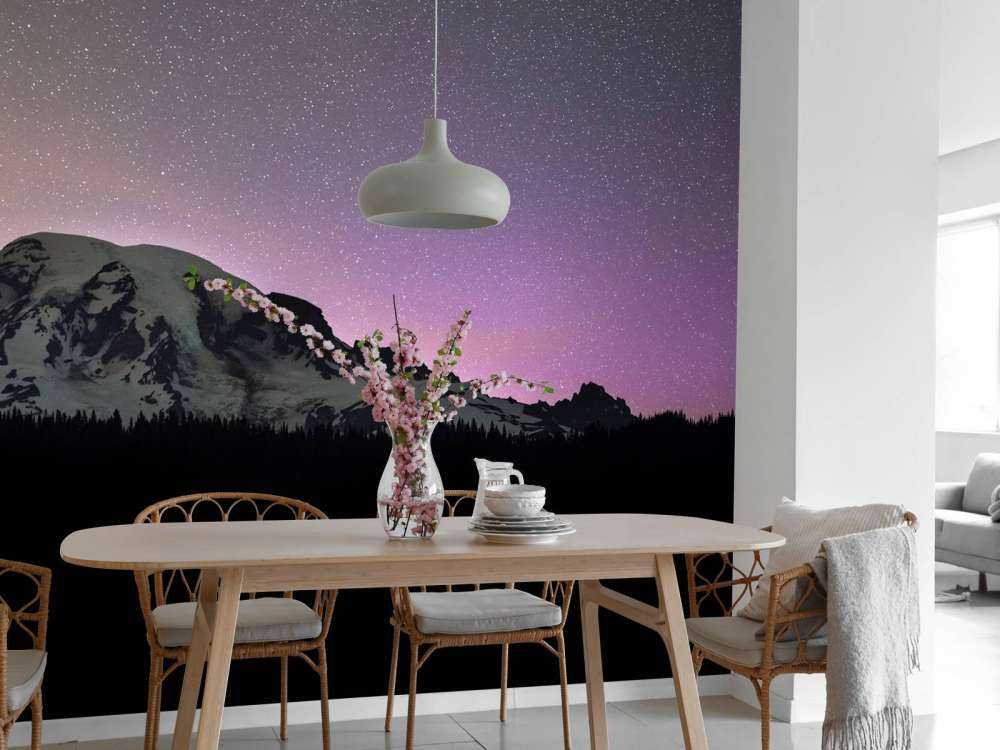 Monte Rainier con l'aurora boreale