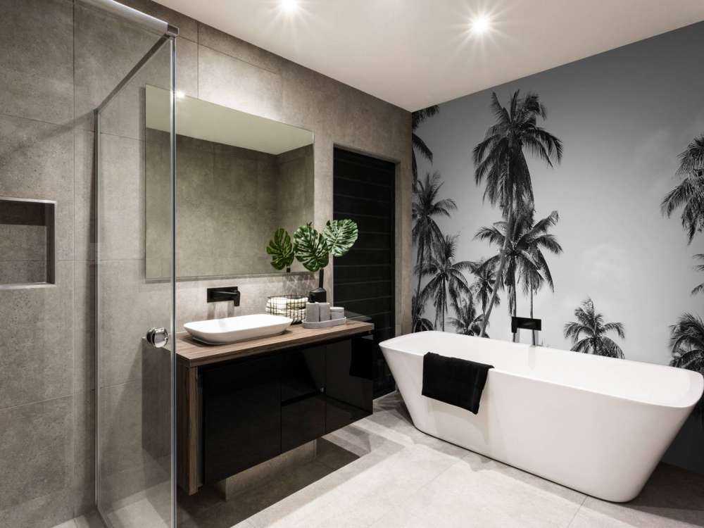 Palme in bianco e nero