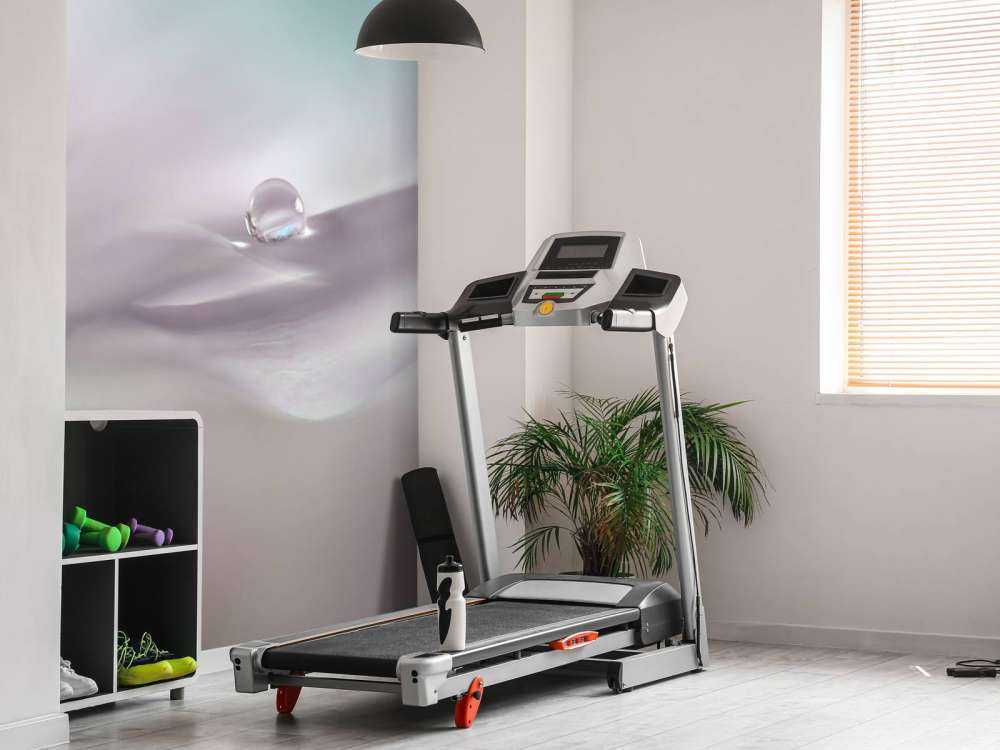 Where dreams come true