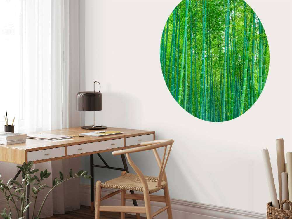 Una verde foresta di bambù