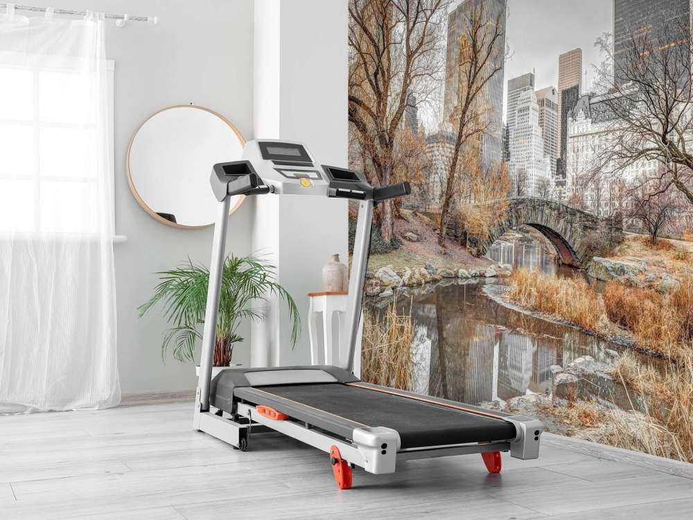 Parco centrale in inverno