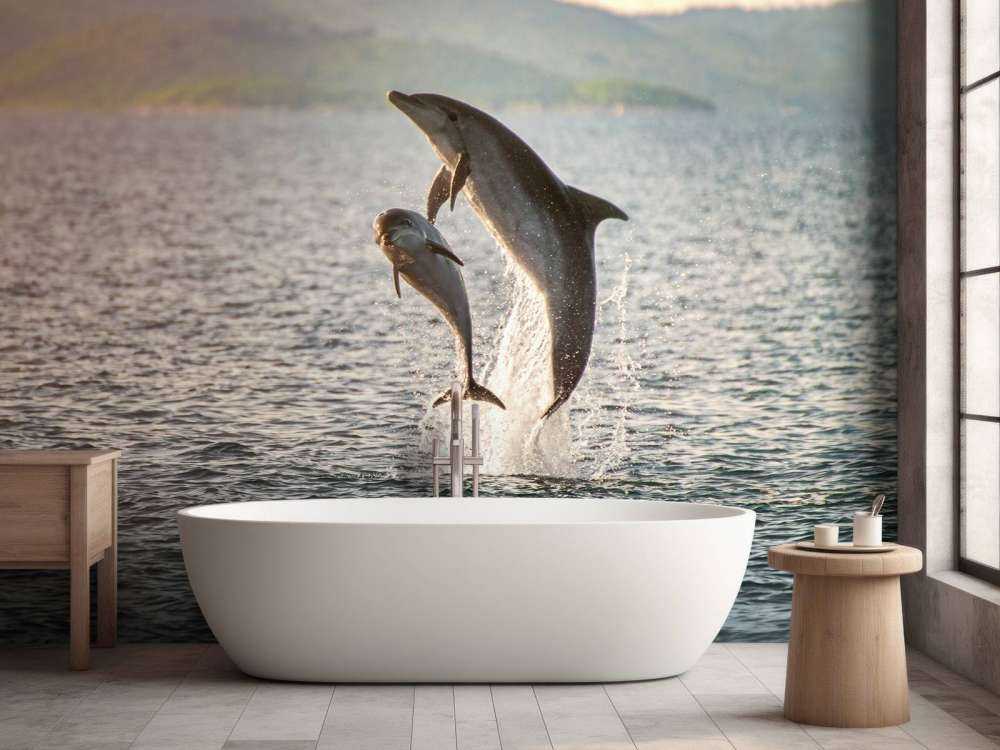 Due delfini che saltano