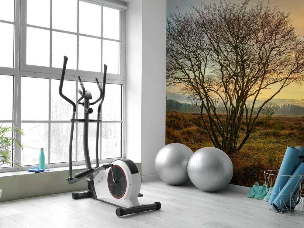 L'alba nella brughiera