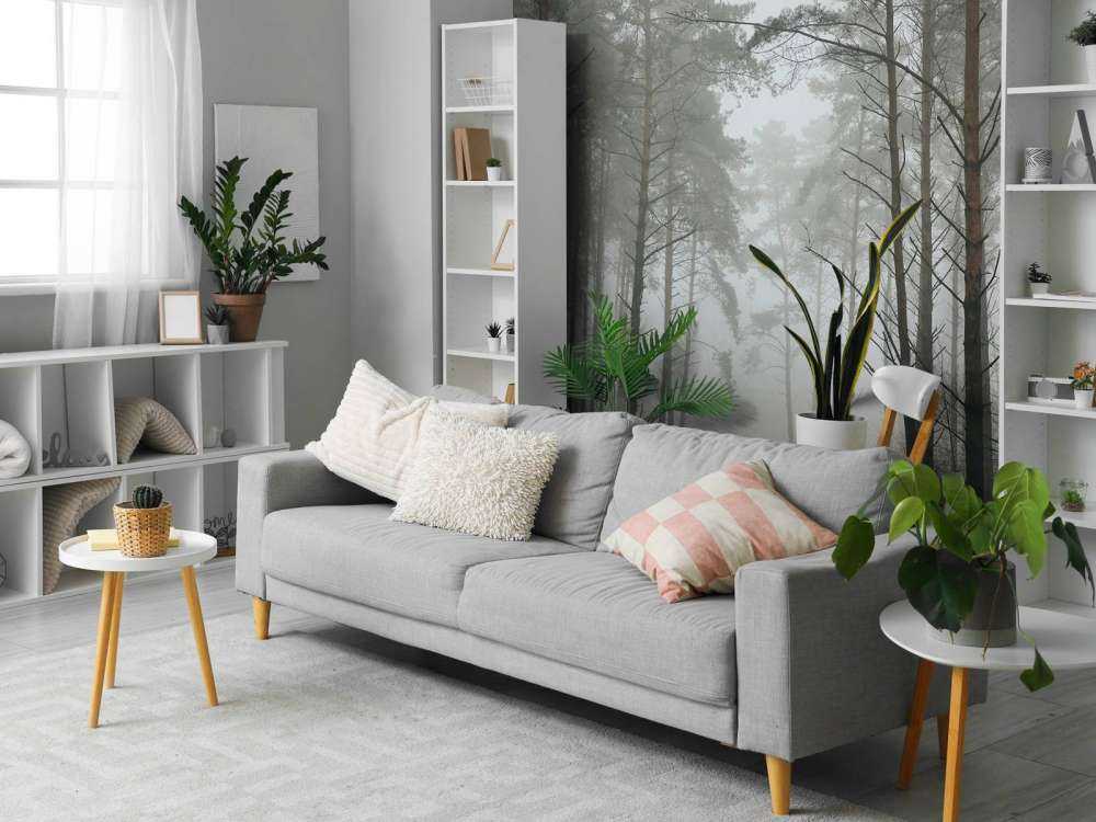 Sentiero nella foresta nebbiosa