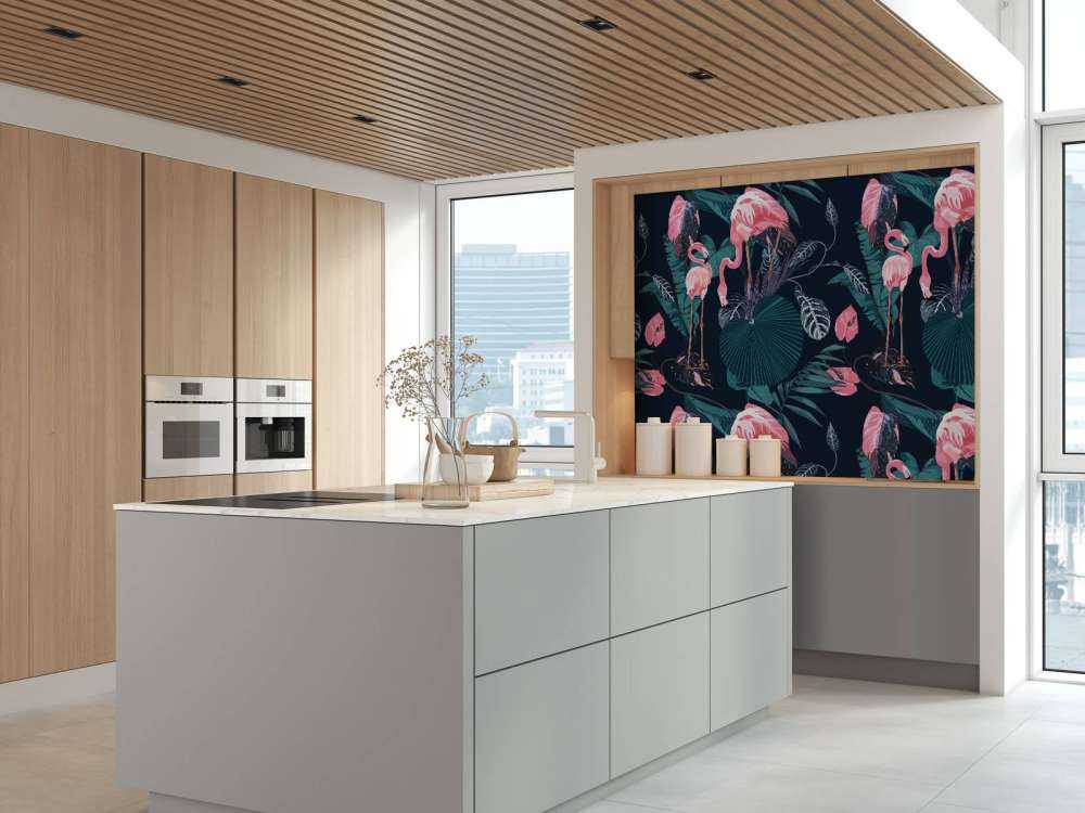 Fenicotteri rosa selvatici