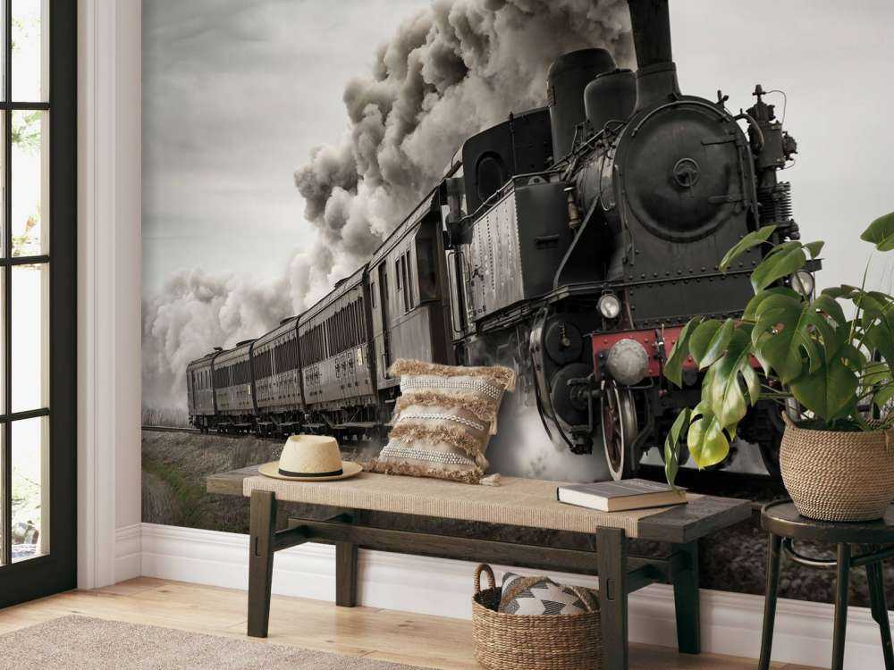 Treno a vapore d'epoca