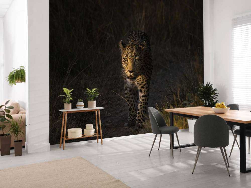 Leopardo con tramonto