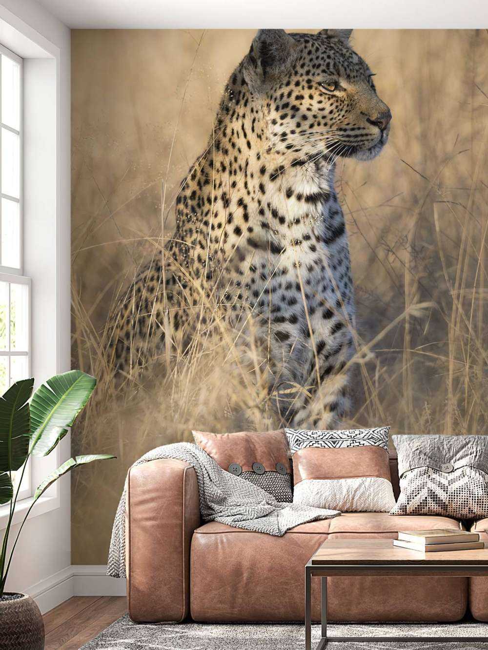 Caccia al leopardo