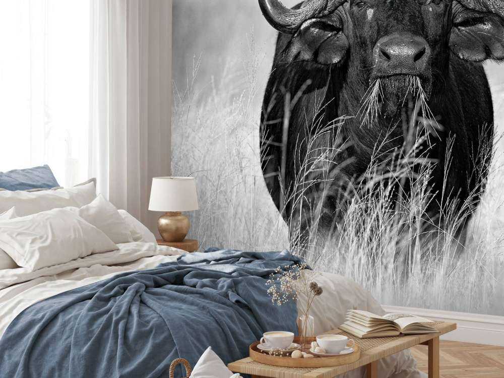 Bufalo in bianco e nero