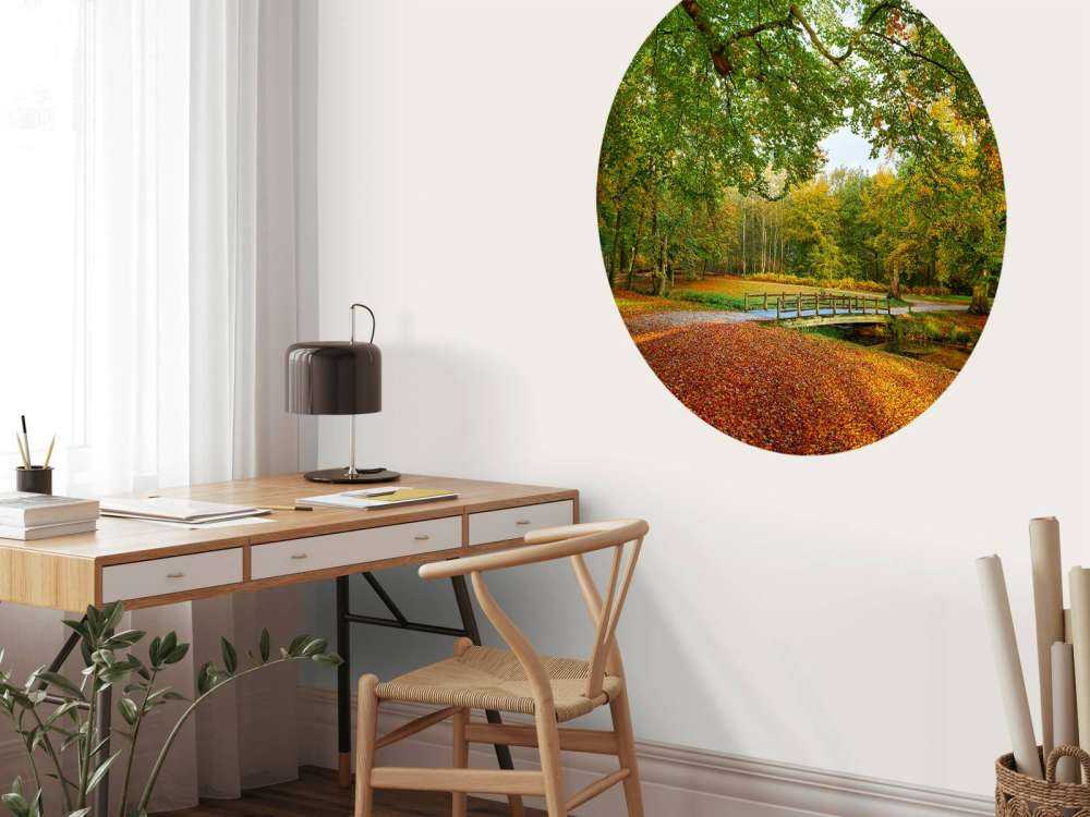 Ponte in una grande foresta