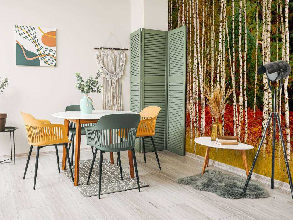 Betulle ai margini della foresta