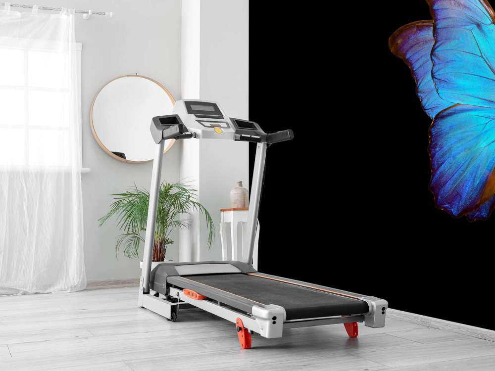 Farfalla su tulipano