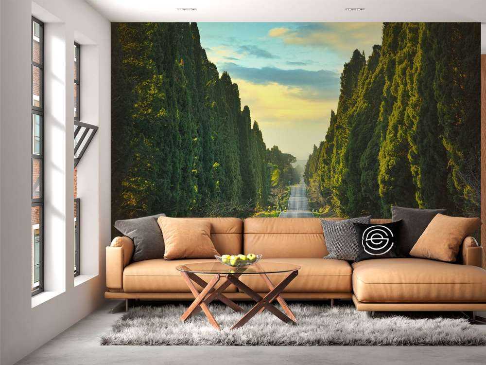 Strada con alberi ad alto fusto