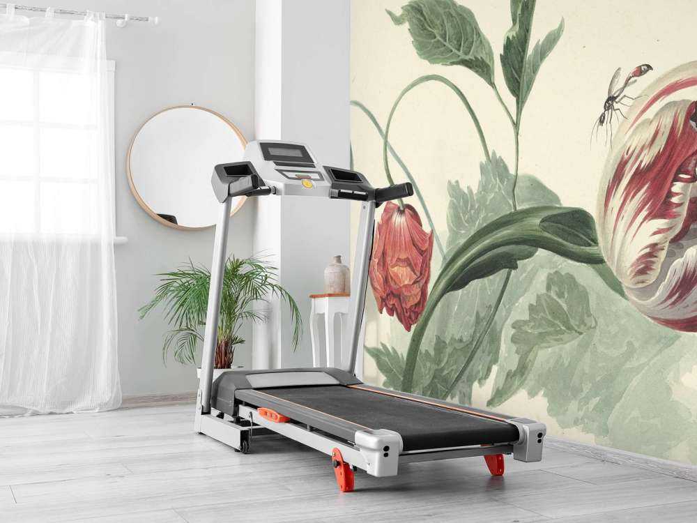 Tulipano e un papavero, Willem van Leen