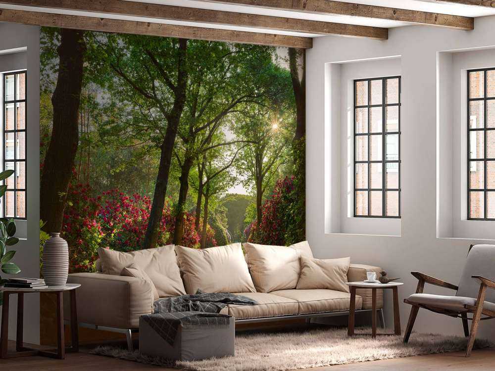 L'alba al sentiero con i rododendri