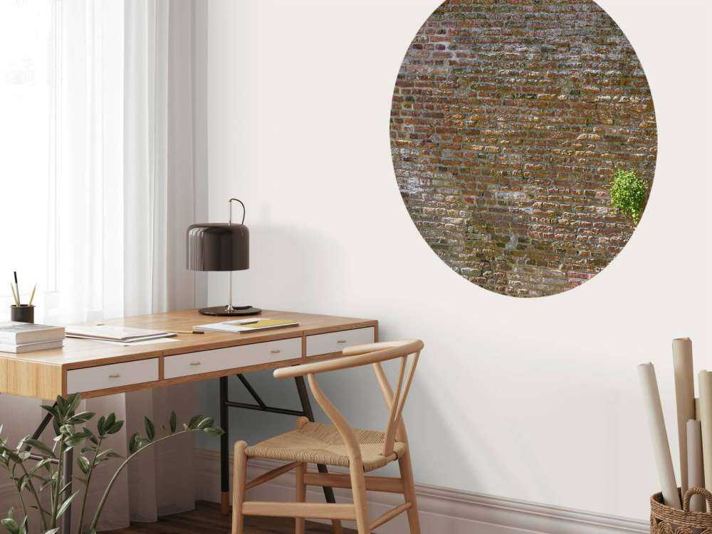 Vecchio muro di cinta in pietra con piante