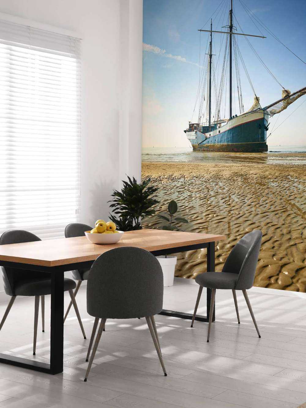 Nave sulle distese di fango