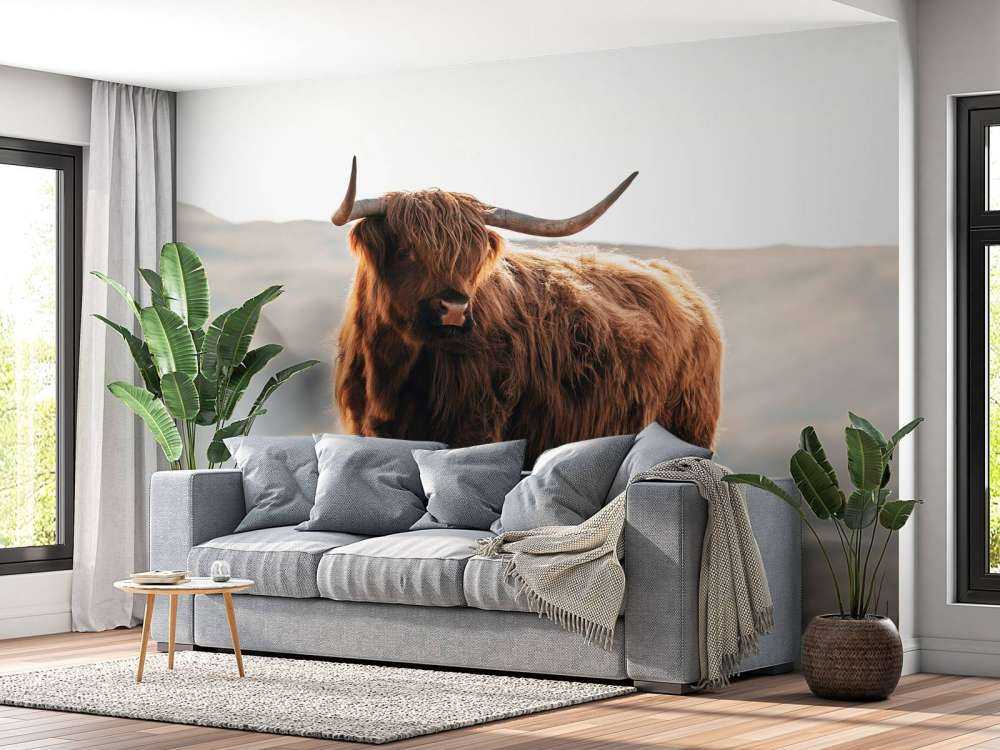 Highlander scozzese su una collina