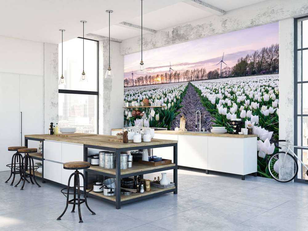 Campo di tulipani bianchi