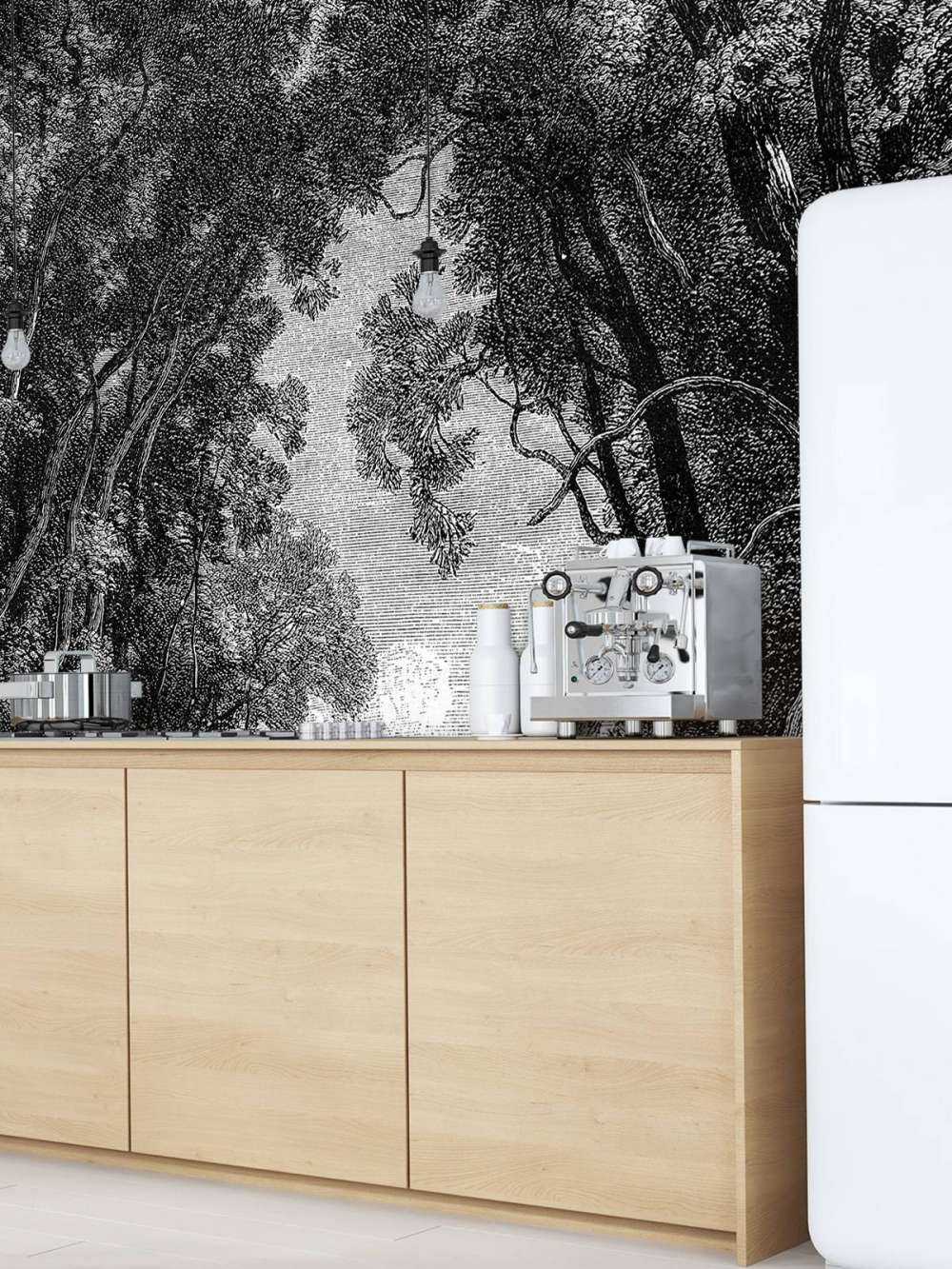 Vecchio fiume nella giungla