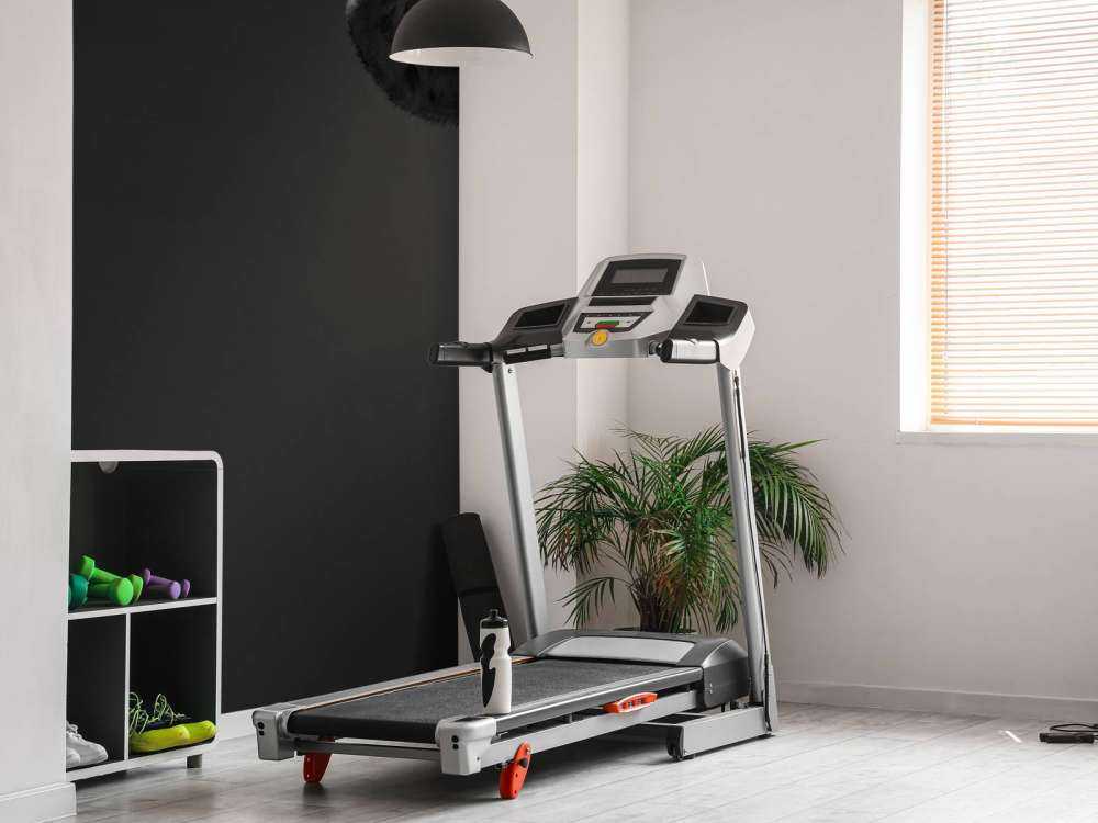 Pecora primo piano in bianco e nero