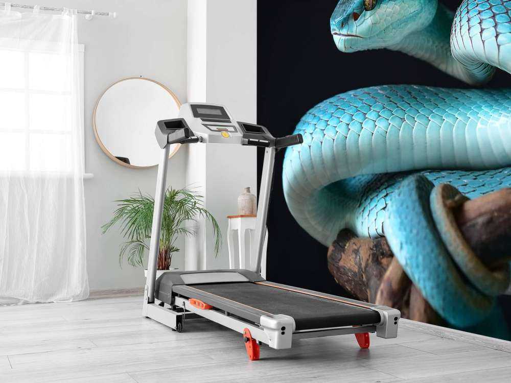 Serpente blu insulare