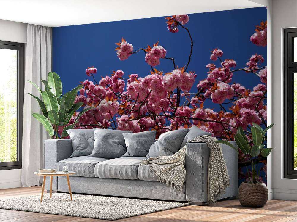 Fiore rosa con cielo blu