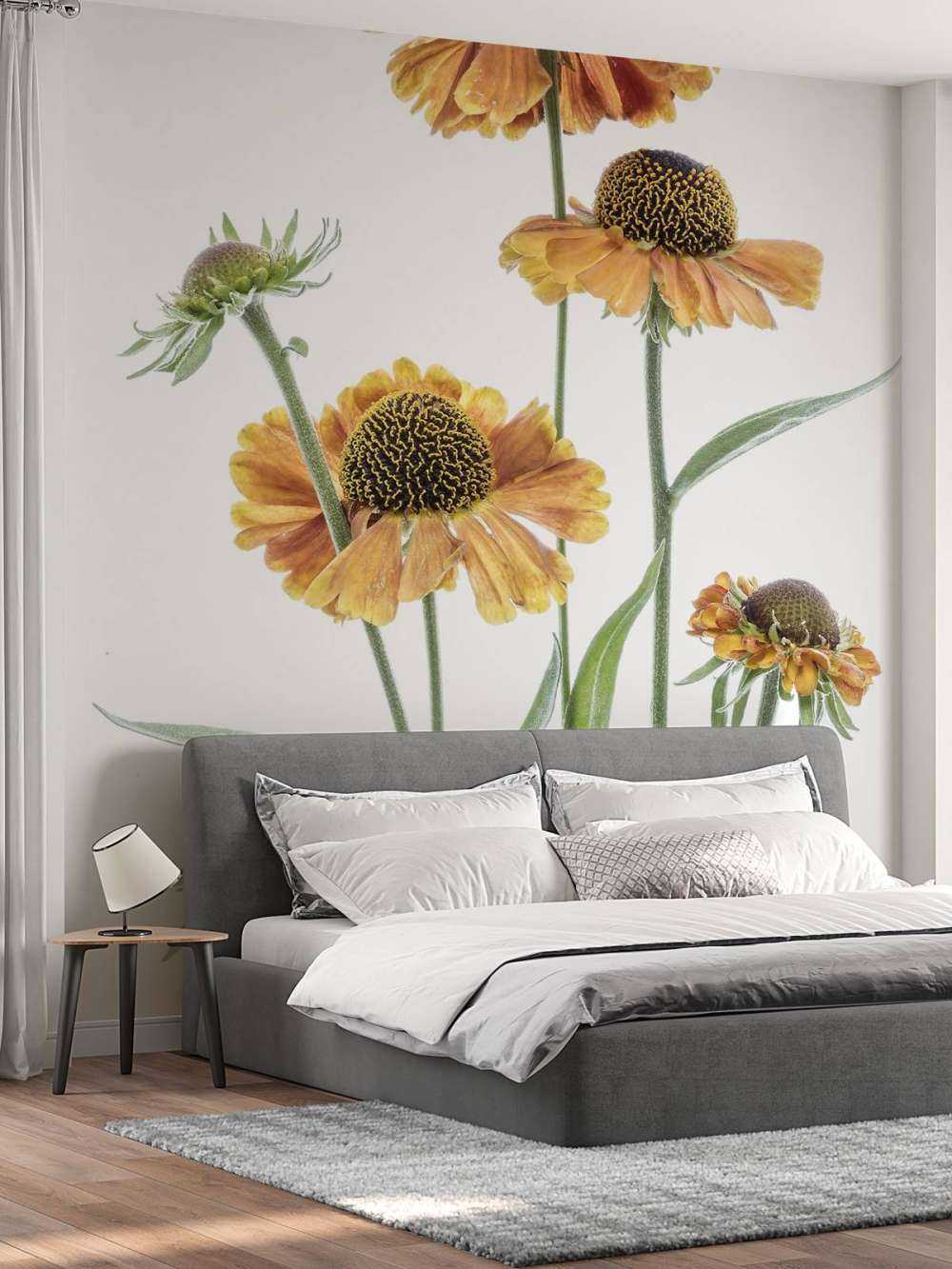 Helenium giallo