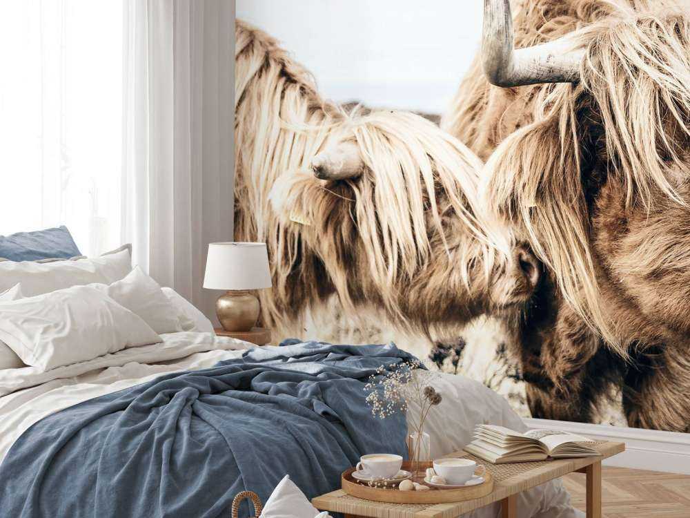 Due Highlander scozzesi